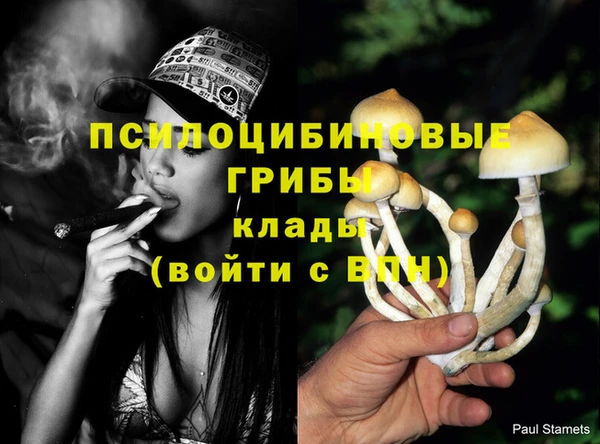 первитин Алзамай