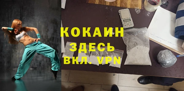 apvp Алексин