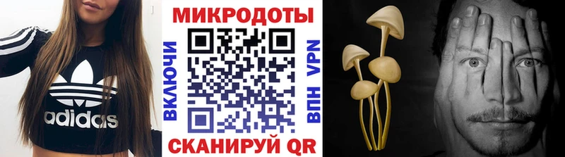 blacksprut ТОР  Осинники  Псилоцибиновые грибы GOLDEN TEACHER  как найти закладки 
